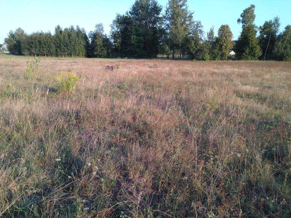 Продам земельну ділянку