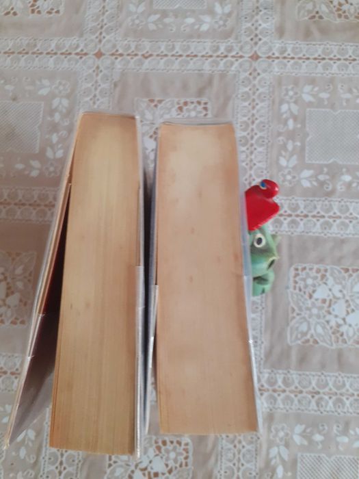 Łza i Ognista- zestaw 2 książek.