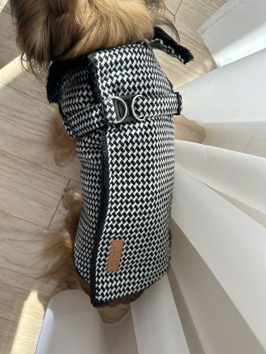 Одяг для собаки