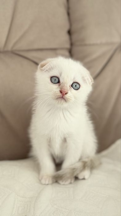 Осінні антидеприсанти