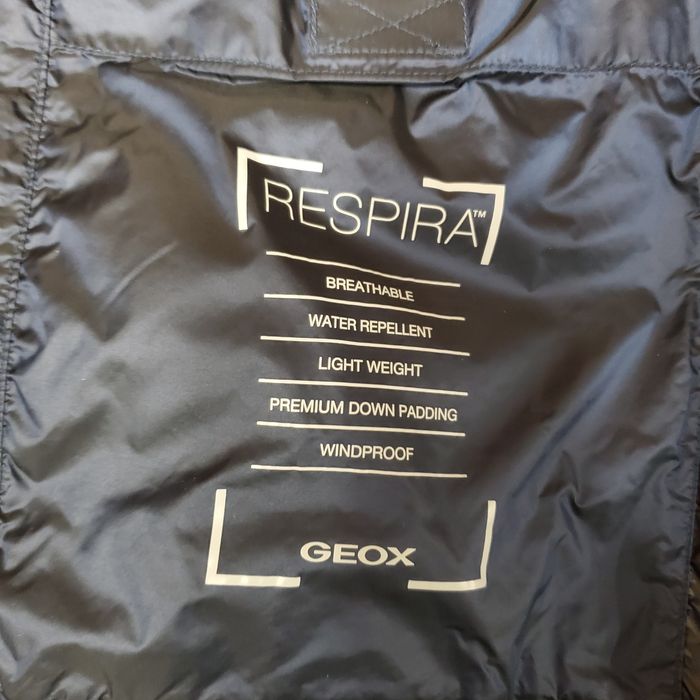 Мужской пуховик Geox