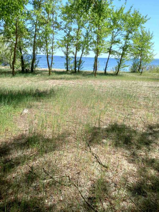 Вихід до води, Глібівка, 8.5 соток, ОСГ.  Супермісце!