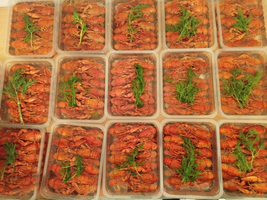 Раки живі гурт (цікаво)