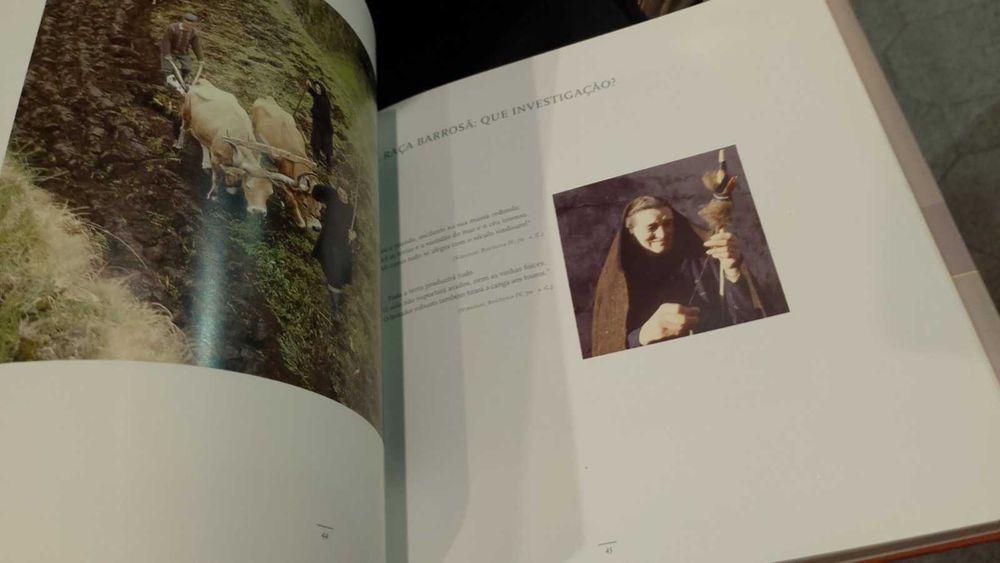 Raça Barrosã "AMIBA"