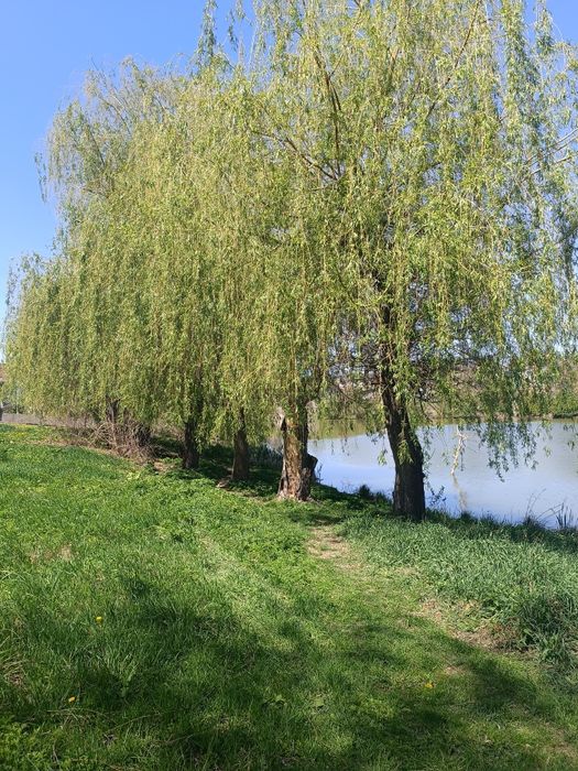 Продається земельна ділянка