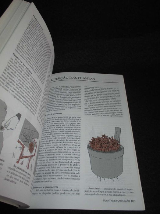 Livro Jardins Rochosos Duncan Lowe