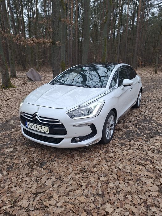 Fajny DS5 biała perła