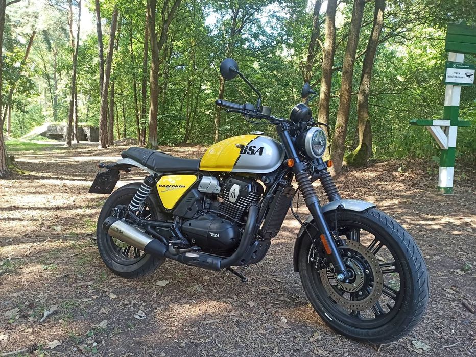 Bsa