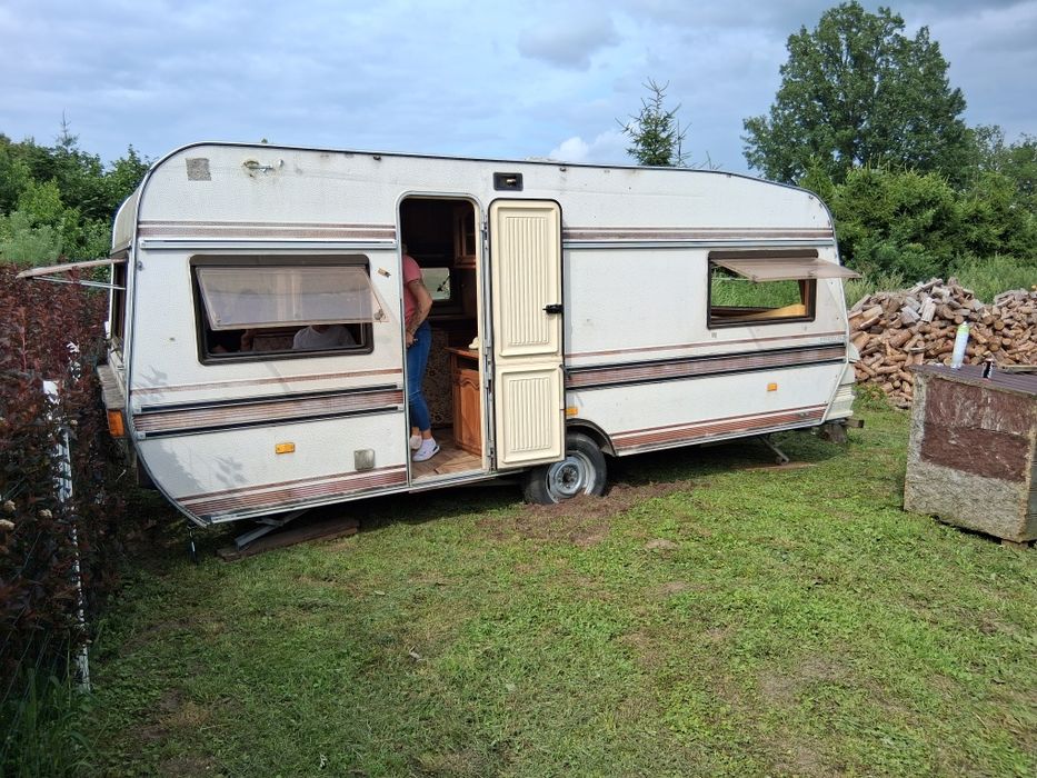 Keping do sprzedania