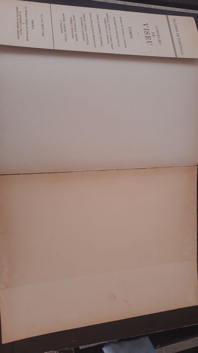 Valores de portugal concelho de Viseu