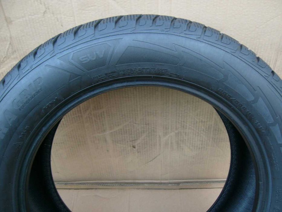 para Goodyear Ultragrip Performance G1 255/55 R19 111V