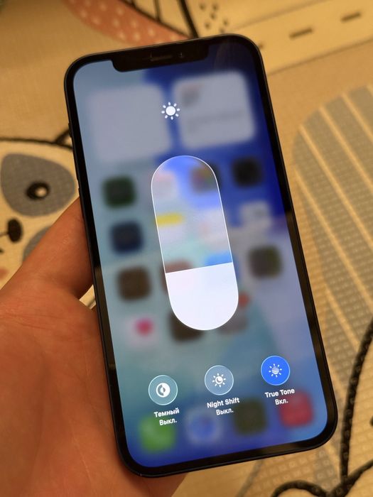 iPhone 12 256Gb Blue Neverlock