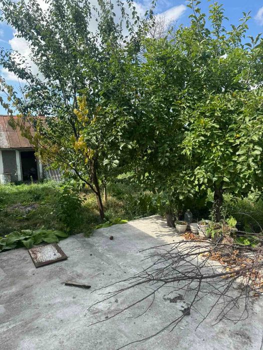 ТЕРМІНОВО! Будинок у самому центрі Дунаївців + 7,5 соток ID:46531
