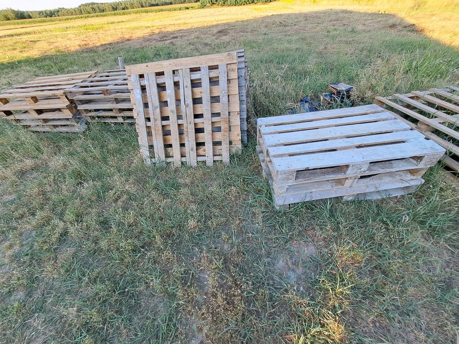 Drzewo jak na zdjęciu