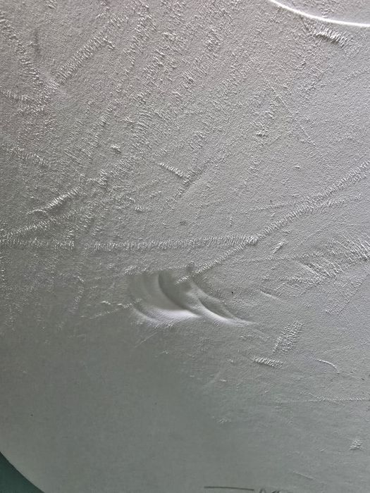 BANHEIRA SHNUGGLE + Suporte Eucalipto