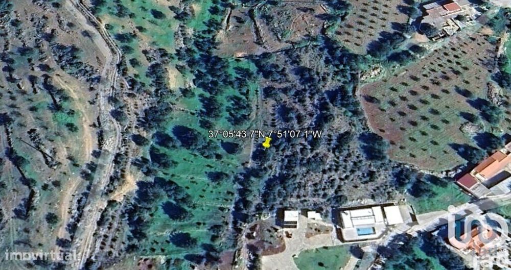 Terreno Agrícola em Conceição e Estoi