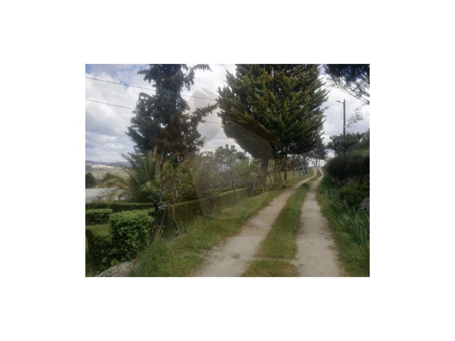Quinta Agricola - Celorico Da Beira