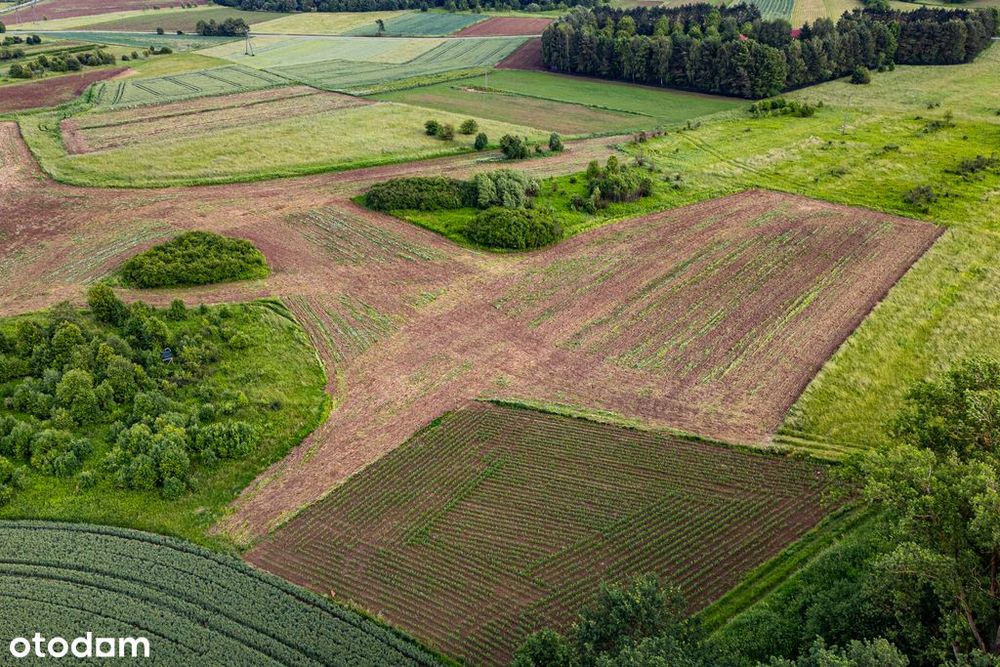 Działka 57 arów – idealna pod Krus – Palikówka - Widok 4