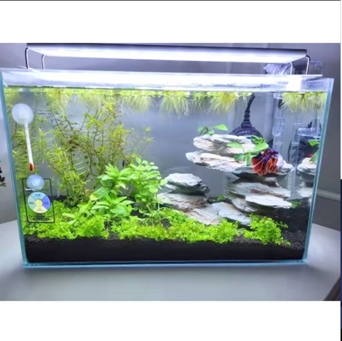 Luz led de aquário