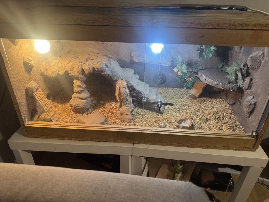 SPRZEDAM Terrarium z wystrojem i lampami UVB + grzewcza 100x50x50
