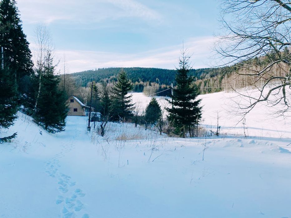 Domek Ogorzelec!Karkonosze! Blisko Karpacza!! Wolne terminy feriowe!
