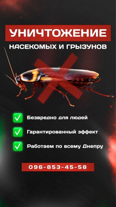 Уничтожение тараканов, клопов, блох. Дезинфекция Днепр.
