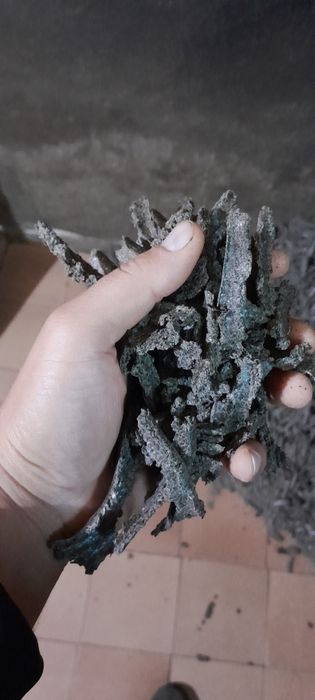 Макуха сояшникова. Лаврін.