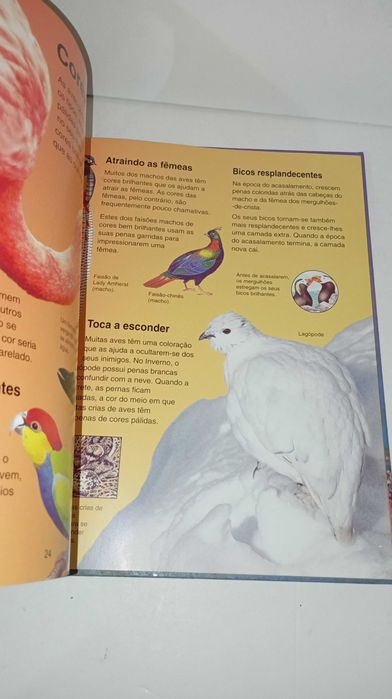 A Minha Primeira Enciclopédia de Animais
