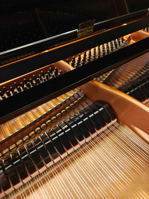 Piano de cauda Bösendorfer 200 rigorosamente impecável