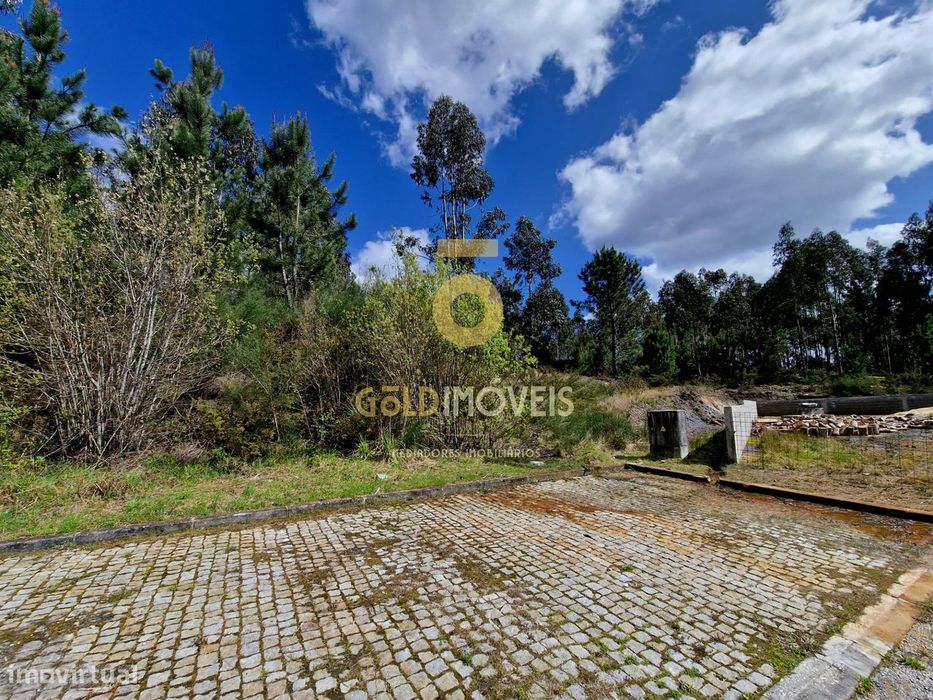 Lote de Terreno  Venda em Canedo, Vale e Vila Maior,Santa Maria da Fei