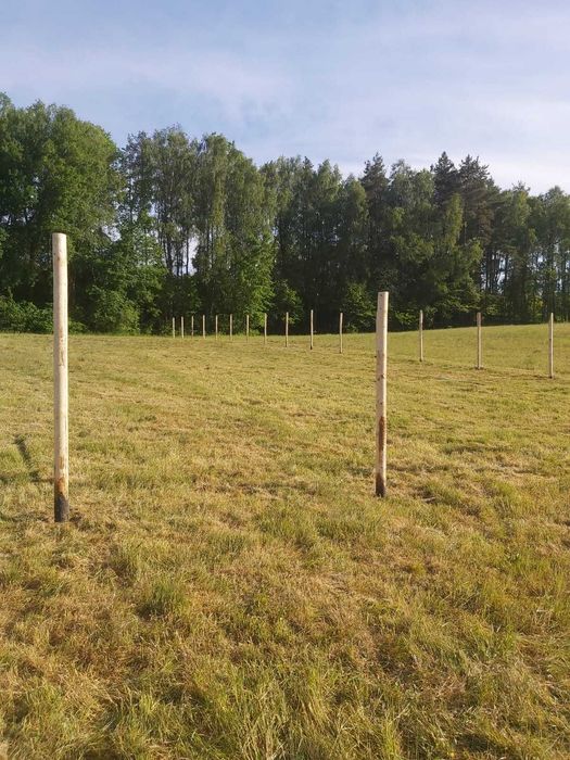 Działka na sprzedaż Jeleń
