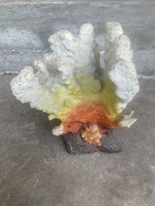 Корал для акваріума