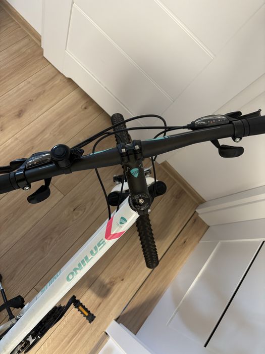 Rower onilus muranus 1.0