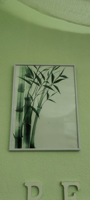 Quadro branco e verde usado435650876346224641