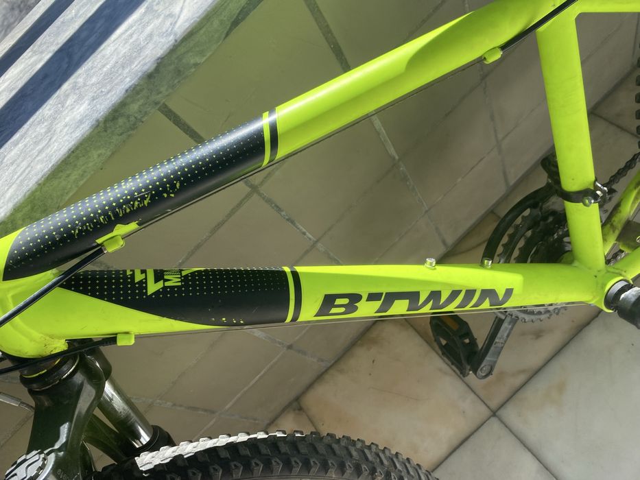 Bicicleta verde florescente