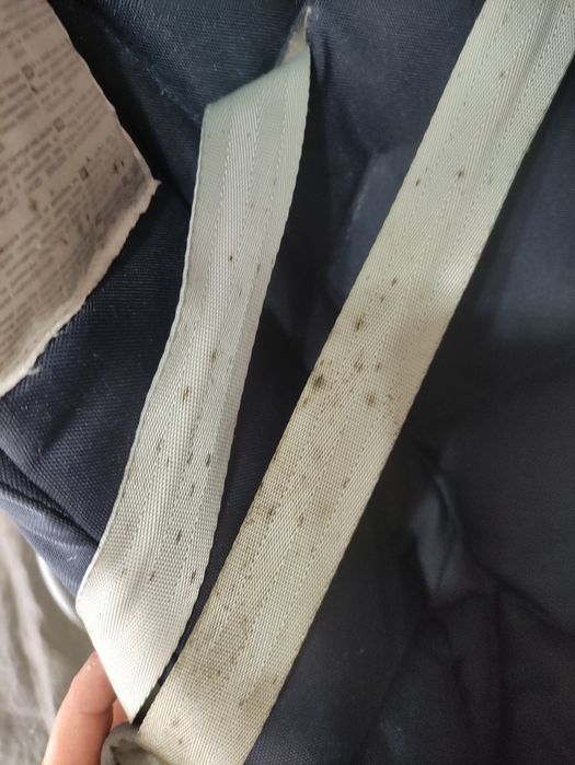 Baby coque inglesina