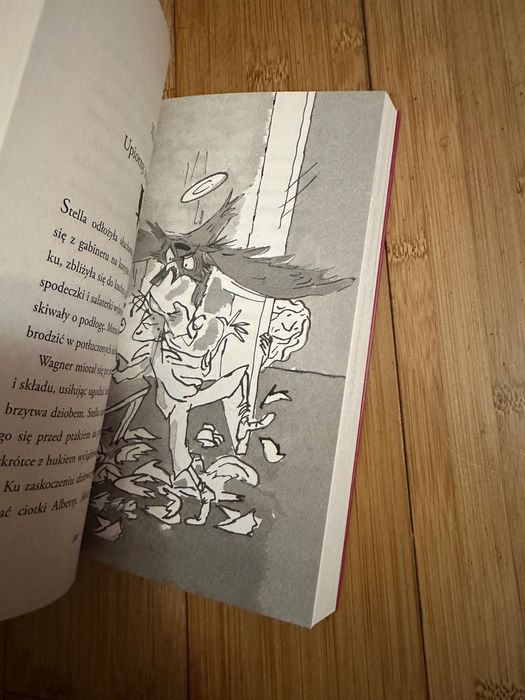 Cwana ciotuchna. Książka dla dzieci i młodzieży. David Walliams