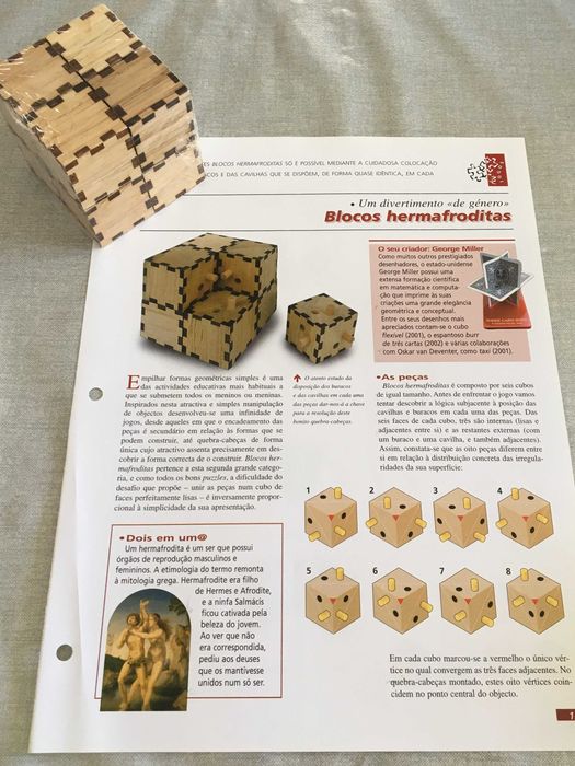 Jogos de engenho com fascículo