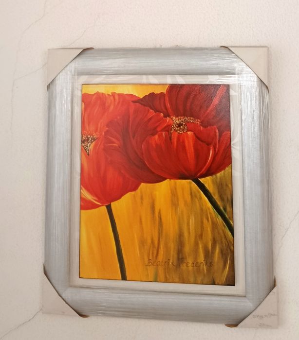 Vários quadros novos