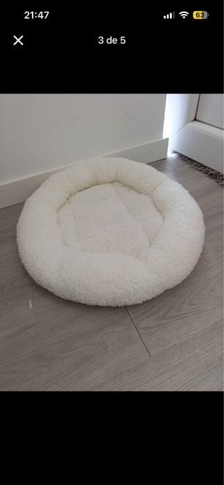 Conjunto para gato