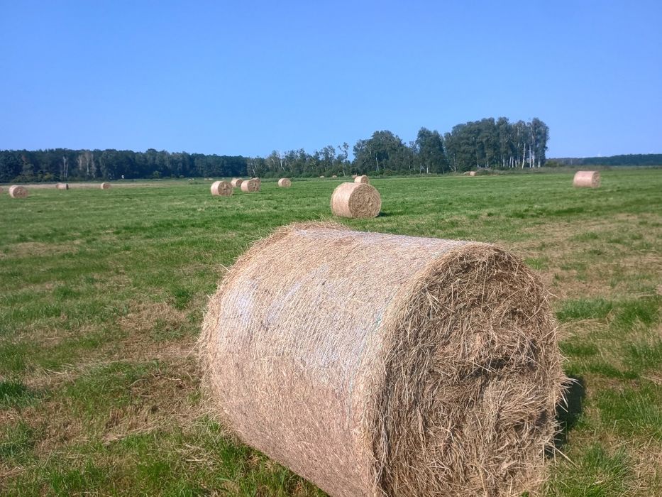 Siano drugi pokos