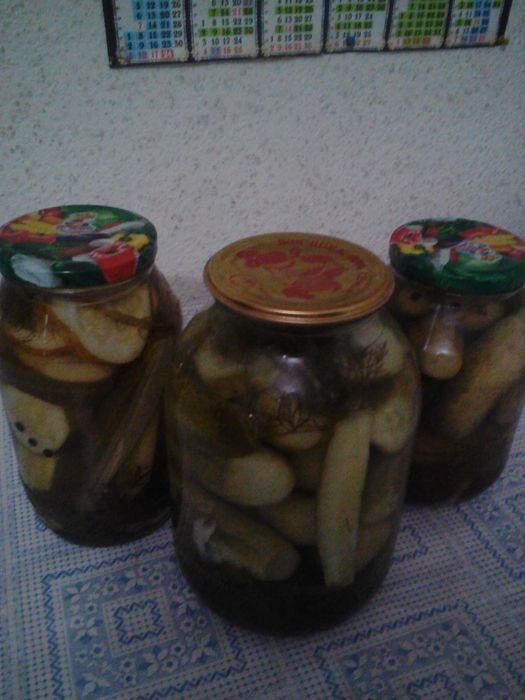 Огурцы консервированные