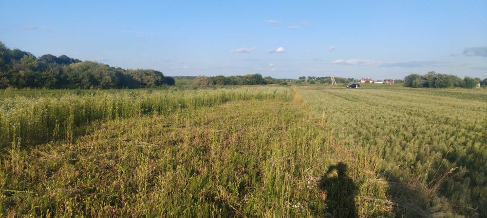 продаж землі під комерцію 70 сот, обїзна Львів