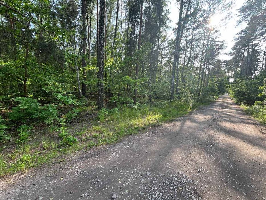 Działka leśna z warunkami zabudowy