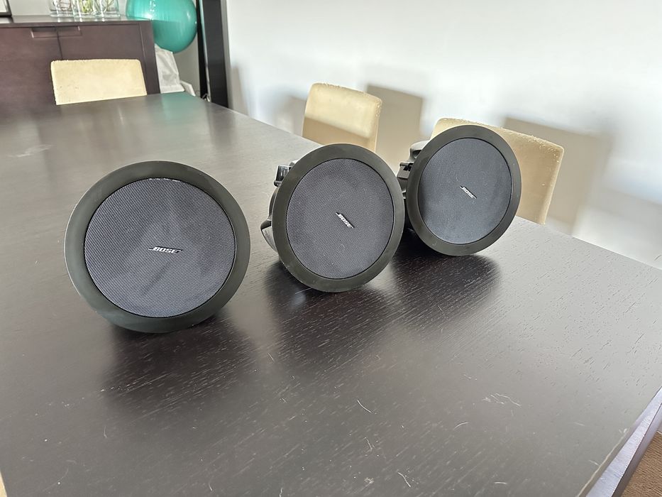 Bose Model 16 FreeSpace® Loudspeaker