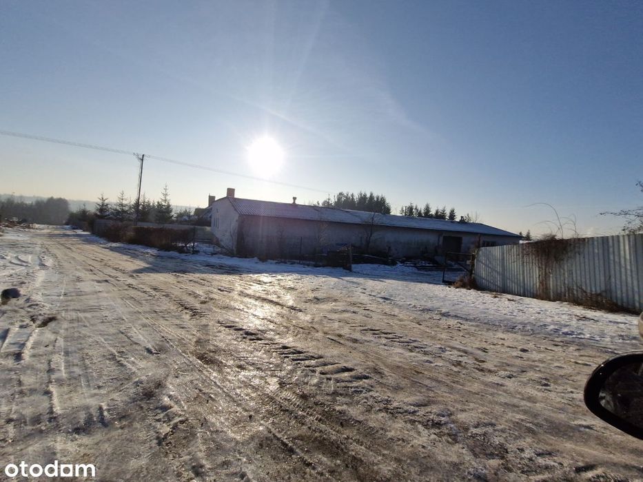 Hala 500 m2 do wynajęcia, Lubicz Dolny, Sadowa, blisko A1