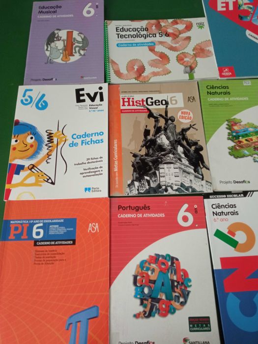 Livros de atividades 6º ano