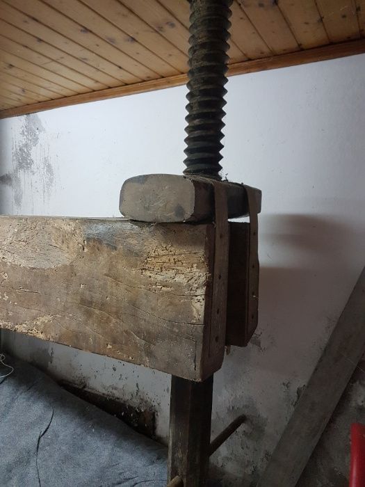 Prenca de uvas muinto Antiga tem a volta de 300 anos