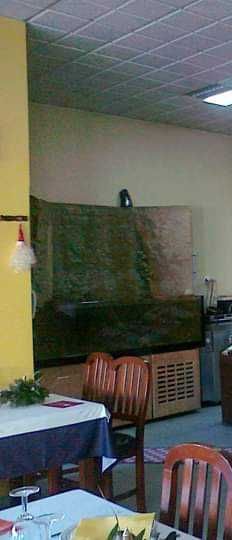 Aquário com cascata