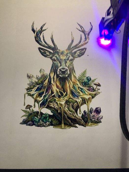 obraz na ścianę dowolna grafika druk ścienny atrakcyjne ceny